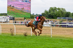 170826-Race 5-Our Absent Friends-9755