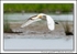 190529-untitled-8E0A4062-Edit
