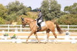 SBM_015081