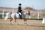 SBM_004804