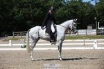 364-ERIN-Andrew_Nicholson-WEDTrotUp+DR portfolio