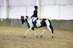 SBM_001231