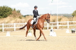 SBM_009343