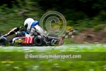Hill Kart_2010-93