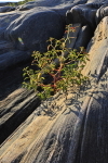 GeorgianBay11-052