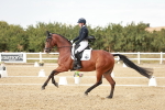 SBM_007295