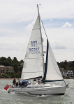 100530 STARBURST GBR8292T IMG_8389