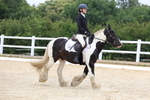 3E7A9669