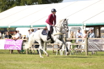 SBM_09991