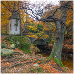 The Tower, Ivy Bridge, Tollymore Forest (IMG1103)