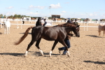 SBM_13937