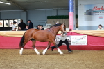 SBM_17287