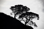 20100827_0206