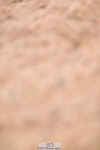 260428-162030-00091