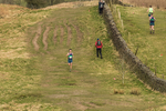 Helm Hill -641