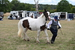 WJ6_5323