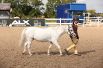 SBM_03751