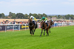 280726-Race 4-Vega King-0936