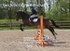 BPP_3763