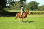 SBM_36418