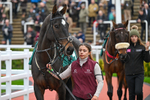 151125-Race 2-Ballycamus-2629