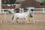SBM_08435