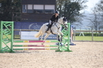 Unaffiliated Show Jumping portfolio