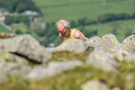 Threlkeld-213