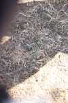 SBM_014057