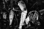Still Life (Auschwitz) #1