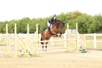 SBM_016035