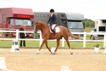SBM_013246