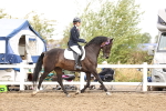 SBM_01466