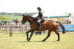 SBM_14949