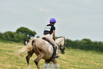 XC 126 portfolio