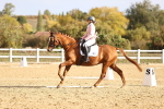 SBM_009157