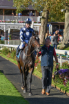 141023-Race 5-Certain Lad-1384