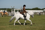 SBM_09671