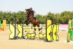 SBM_001815