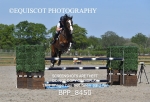 BPP_8450