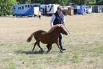 WJ6_4616