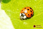 190430-untitled-1L4A1075