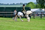 SBM_11607