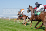 Guernsey Race Club Horse Racing 2018-35