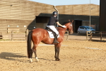 SBM_000564