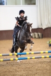 Class 1 - Show Jumping 50cm portfolio