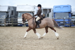 SBM_006139