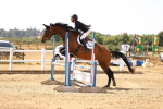 SBM_000864