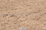 240706A-134522-02882