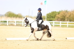 SBM_007877